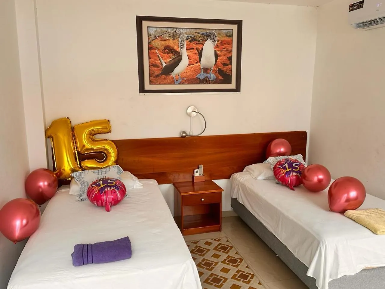 Hostal Stefany'S Lodging Puerto Baquerizo Moreno